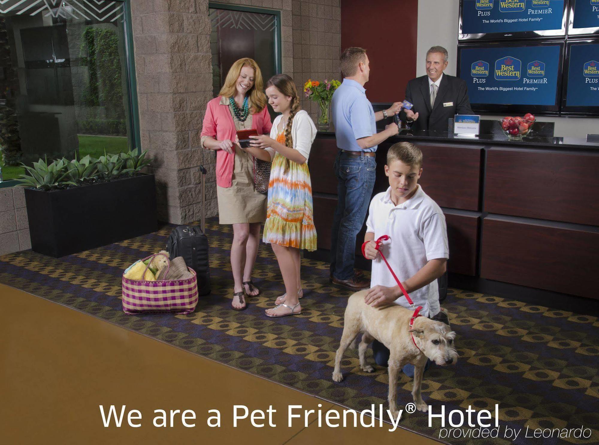Best Western Socorro Hotel & Suites Exteriör bild